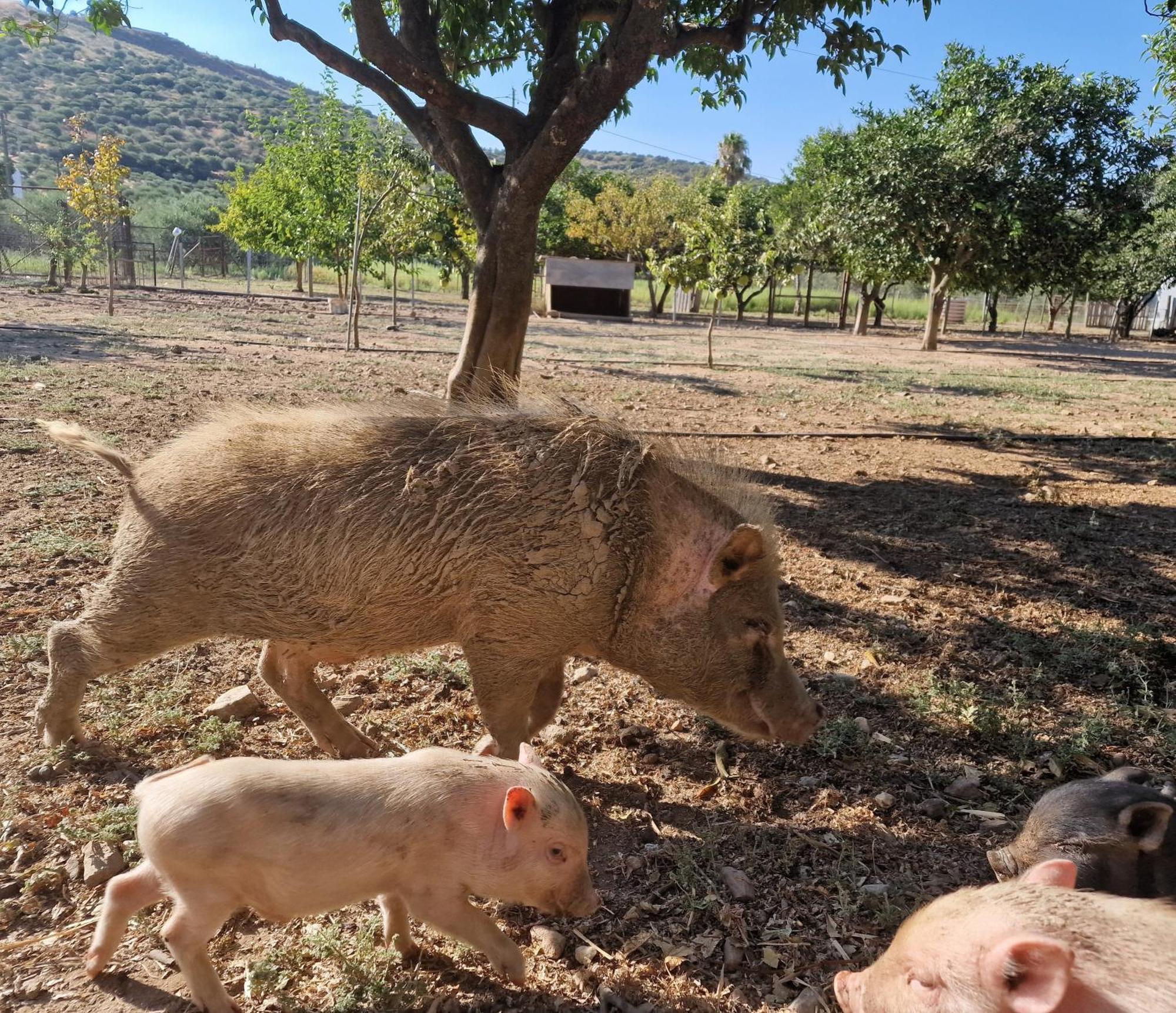 Quinta Da Ponte Das Hortas 1 الفاس المظهر الخارجي الصورة